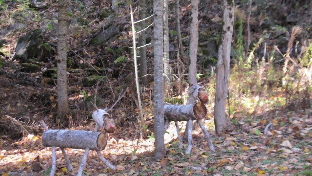 Photo of Others in Rangeley
