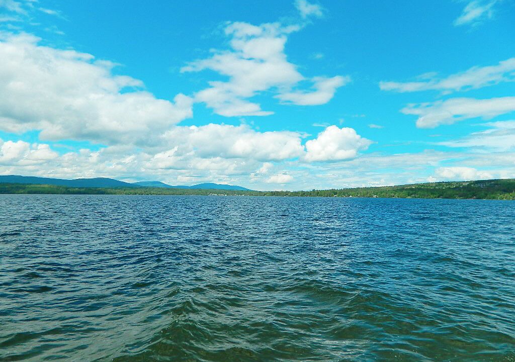 Photo of Others in Rangeley Plantation
