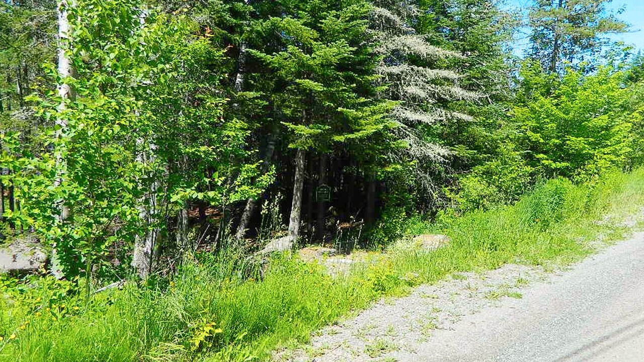 Photo of Others in Rangeley