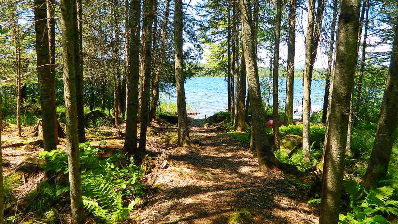 Photo of Others in Rangeley