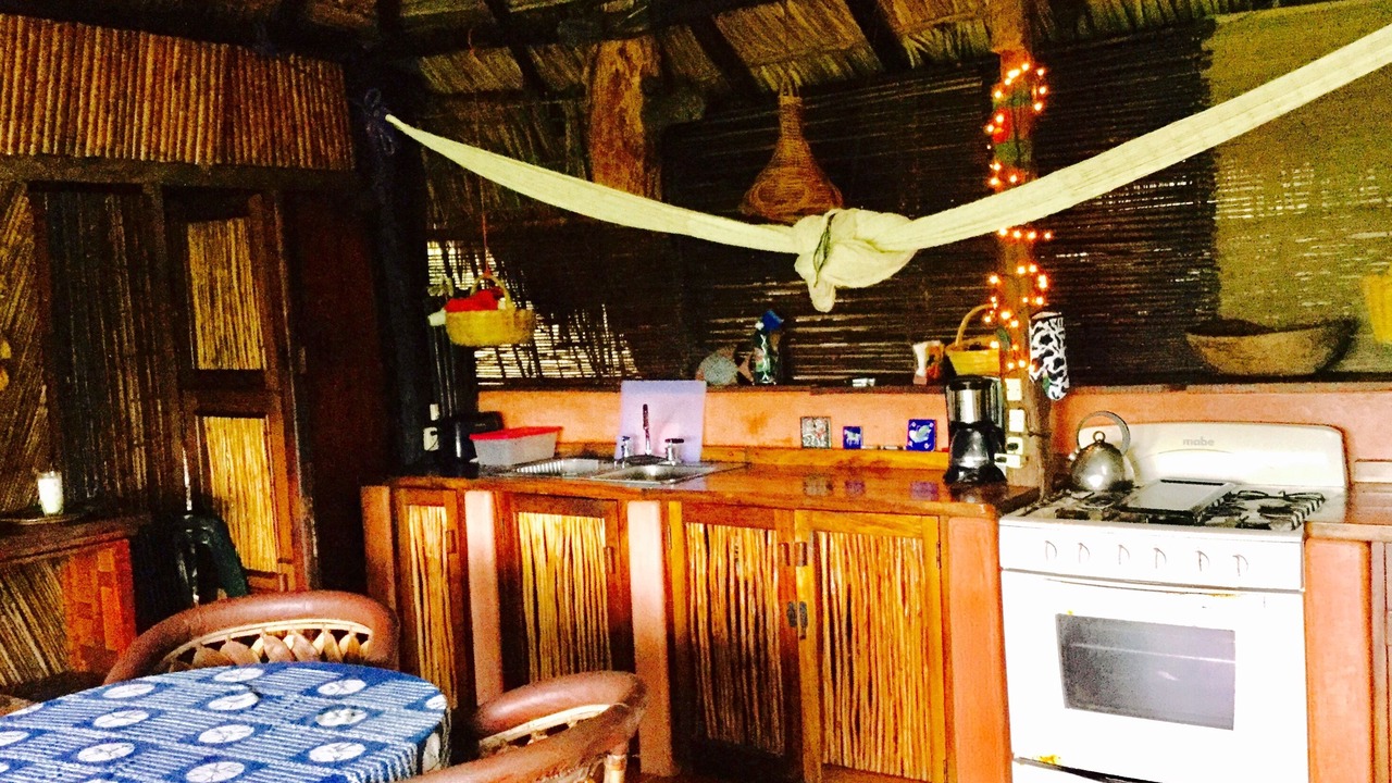 Photo of Kitchen in Playa Las Gatas