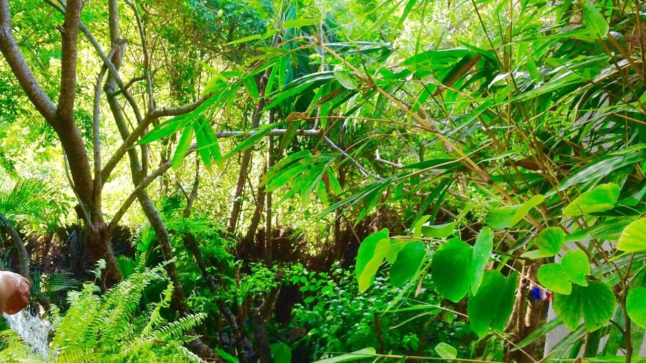 Photo of Outdoor in Playa Las Gatas