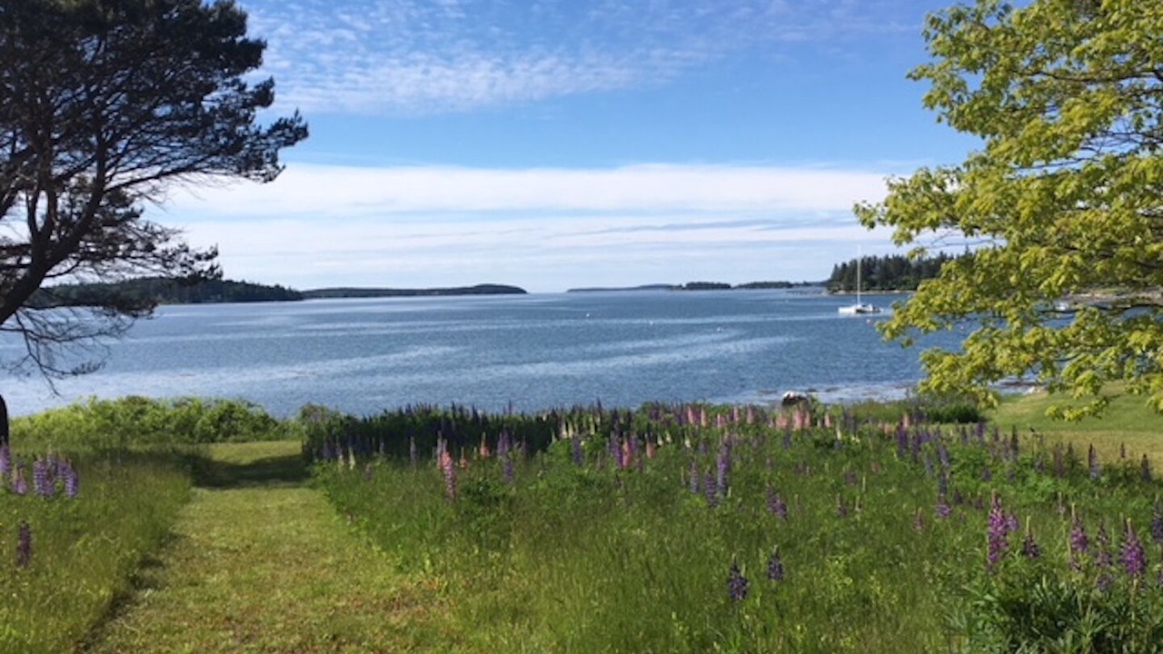 Photo of Others in Pleasant Point