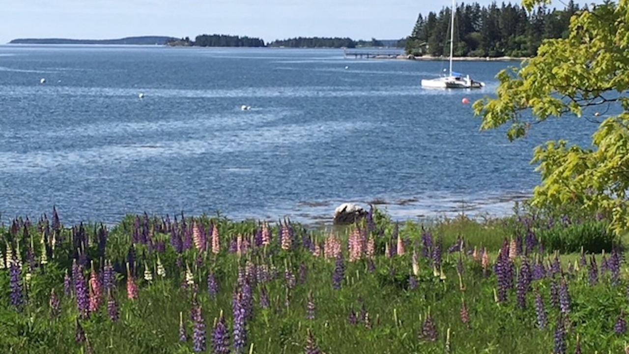 Photo of Others in Pleasant Point