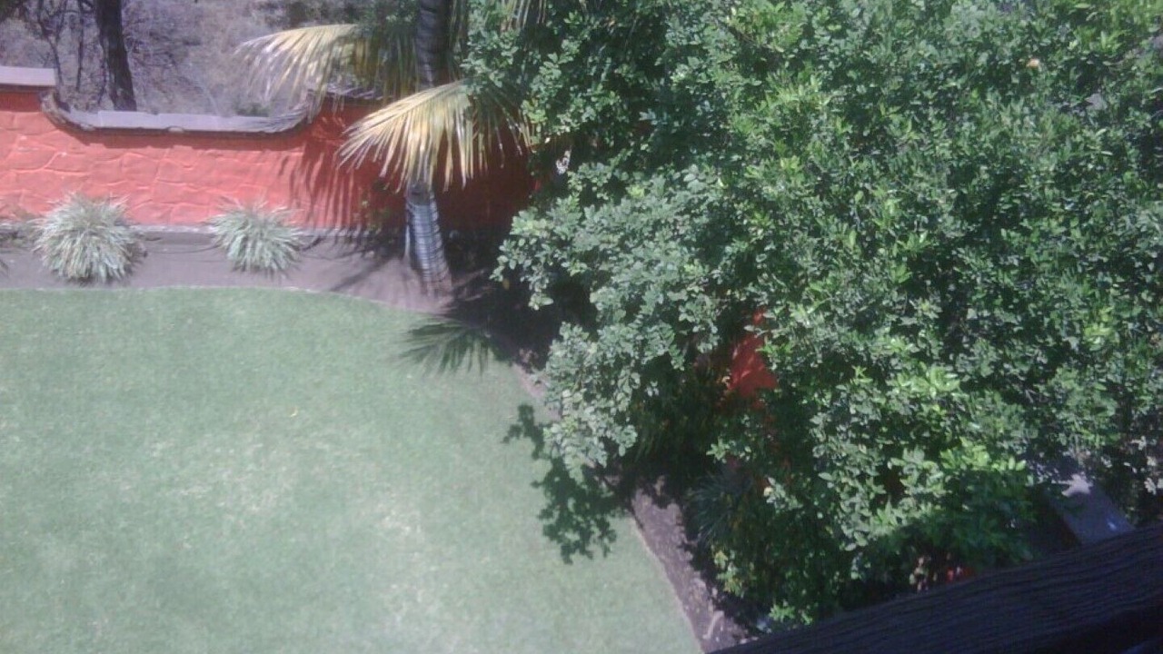 Photo of Outdoor in Palmira