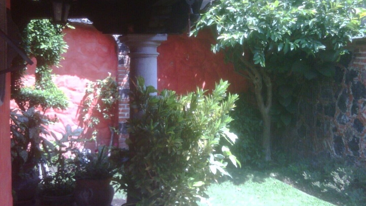 Photo of Outdoor in Palmira