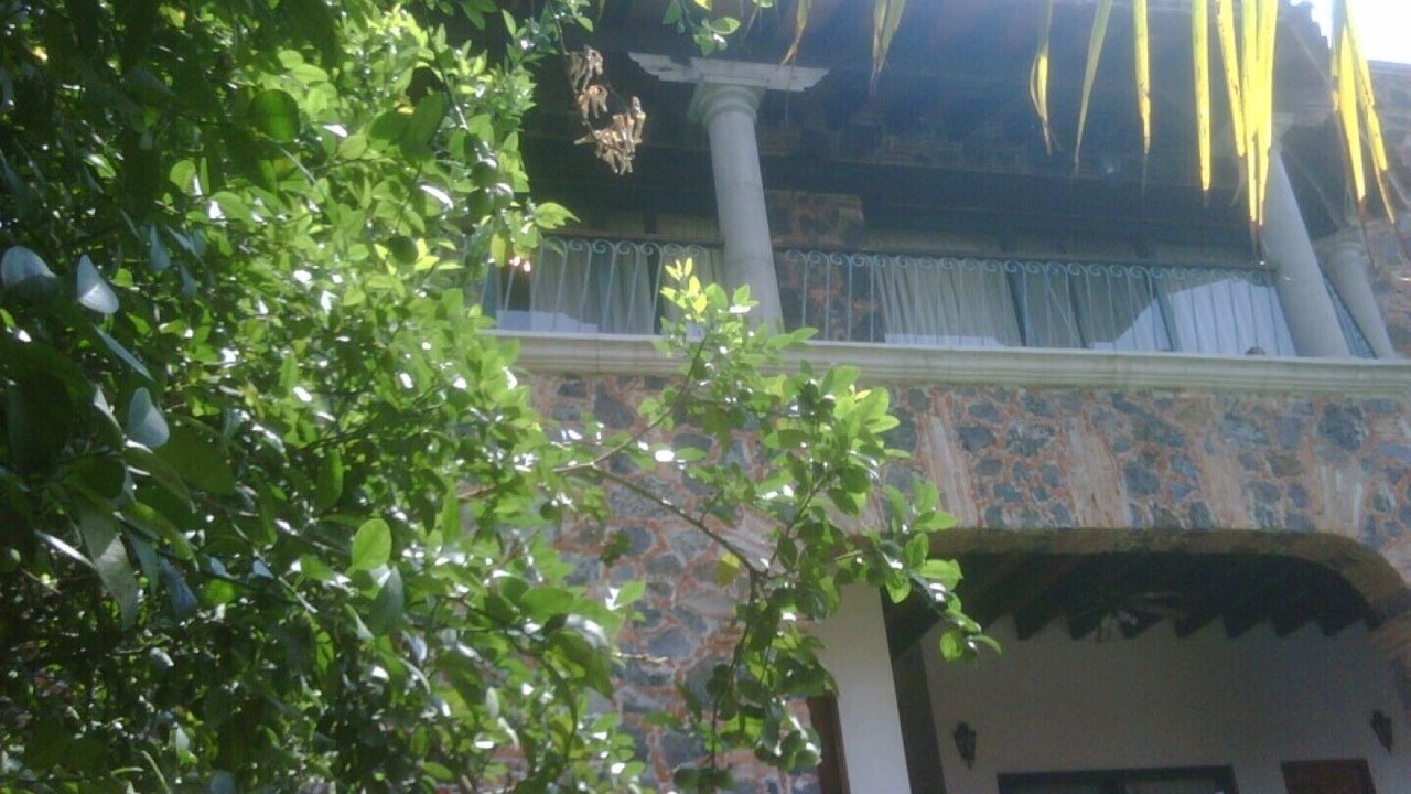 Photo of Outdoor in Palmira