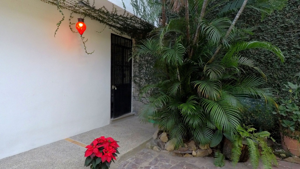 Photo of Outdoor in Colonia 5 de Diciembre