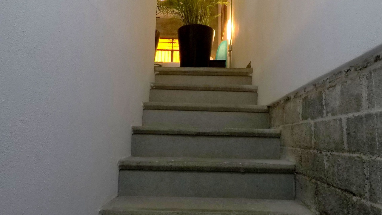 Photo of Others in Colonia 5 de Diciembre