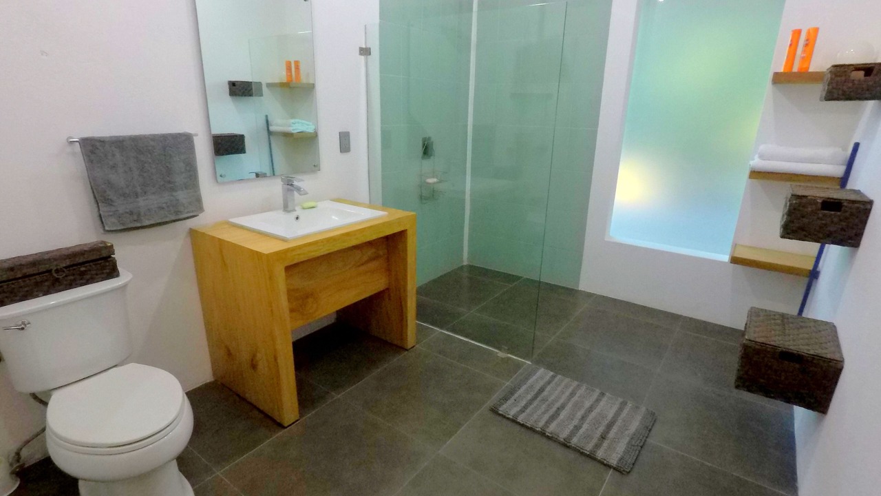 Photo of Bathroom in Colonia 5 de Diciembre