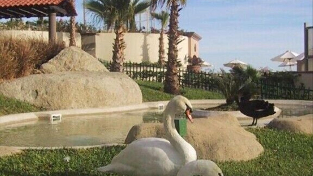 Photo of Outdoor in Paraiso Escondido