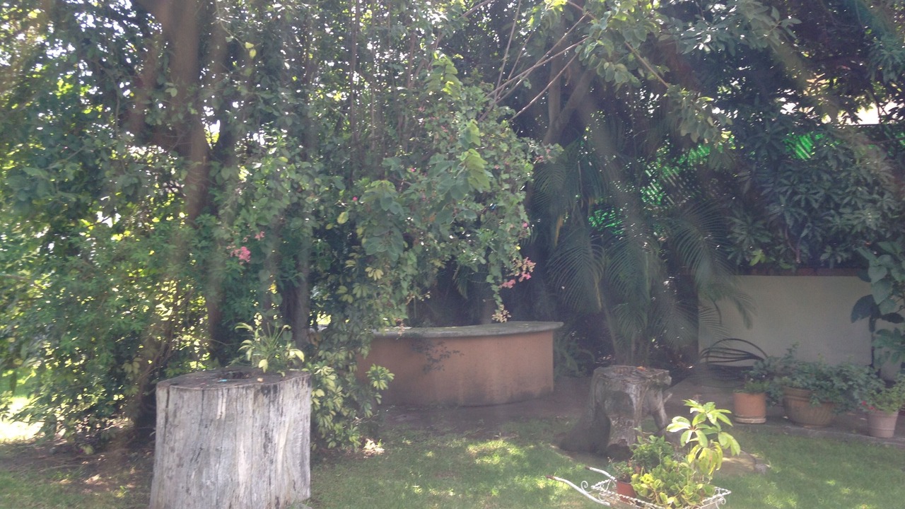 Photo of Outdoor in Cuernavaca