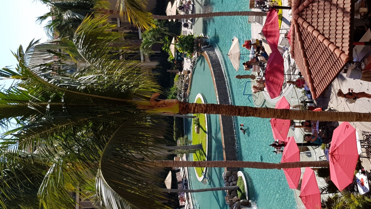 Photo of Outdoor in Flamingos