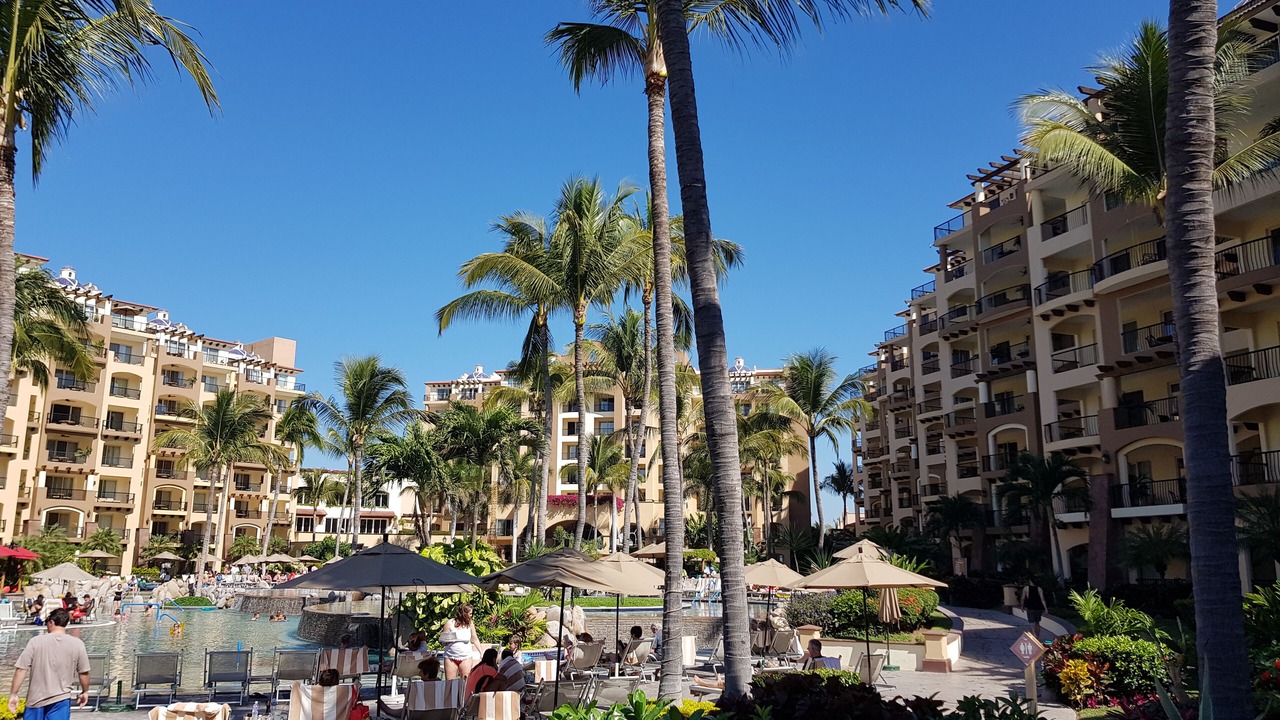 Photo of Outdoor in Flamingos