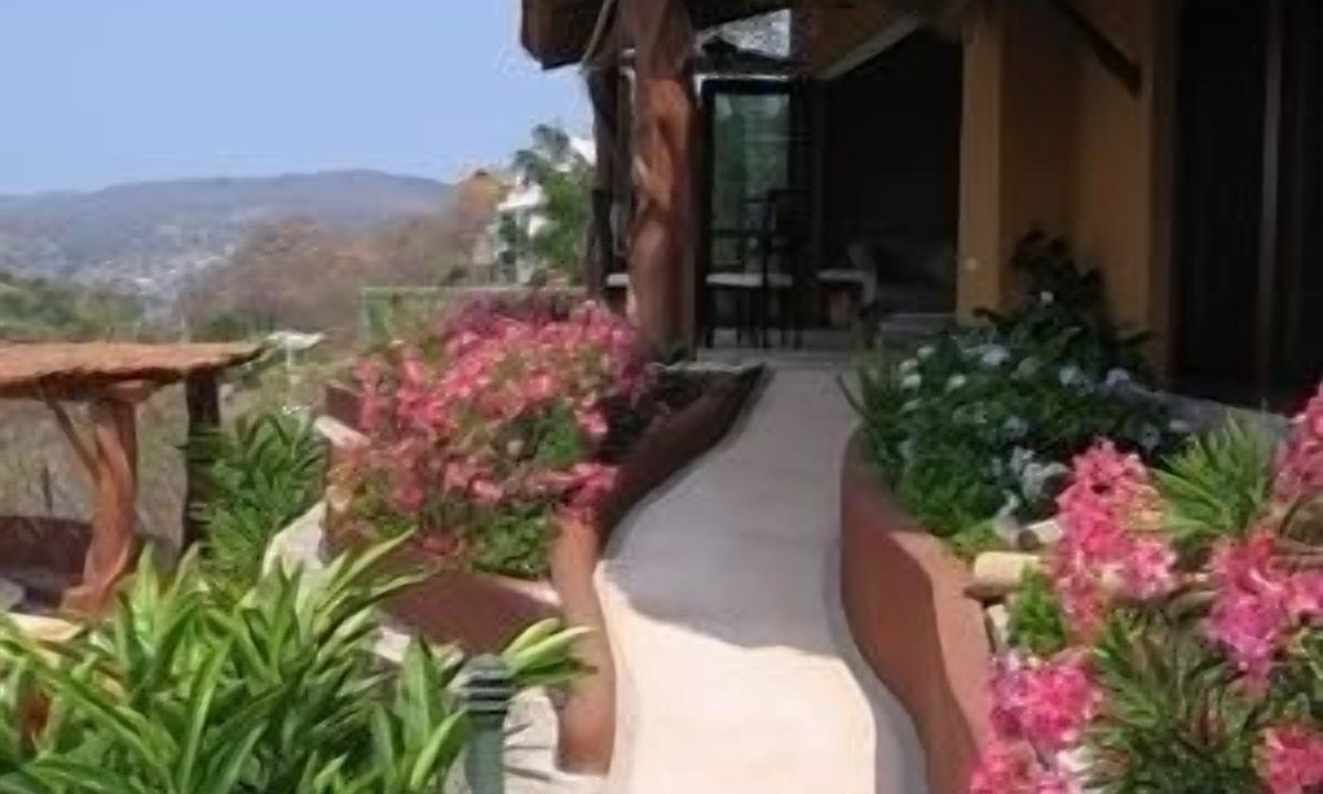 Photo of Outdoor in Ixtapa - Zihuatanejo