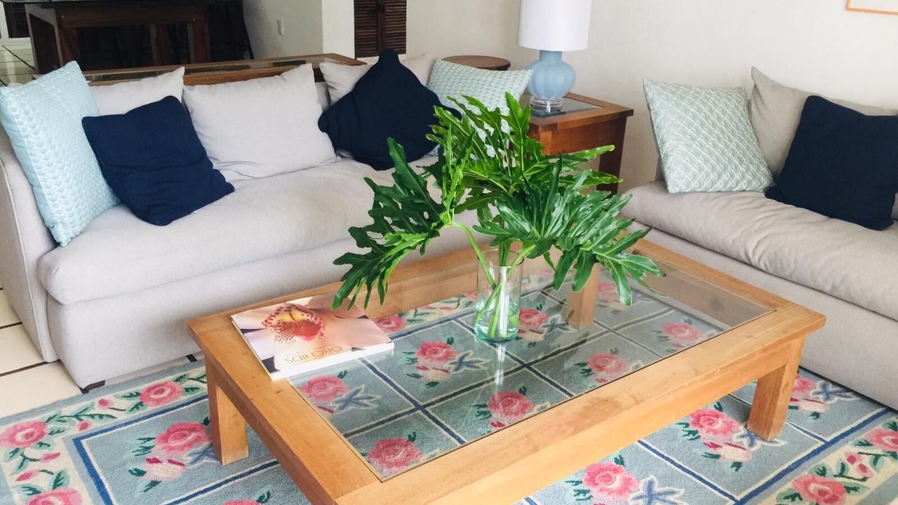 Photo of Livingroom in South Hotel Zone
