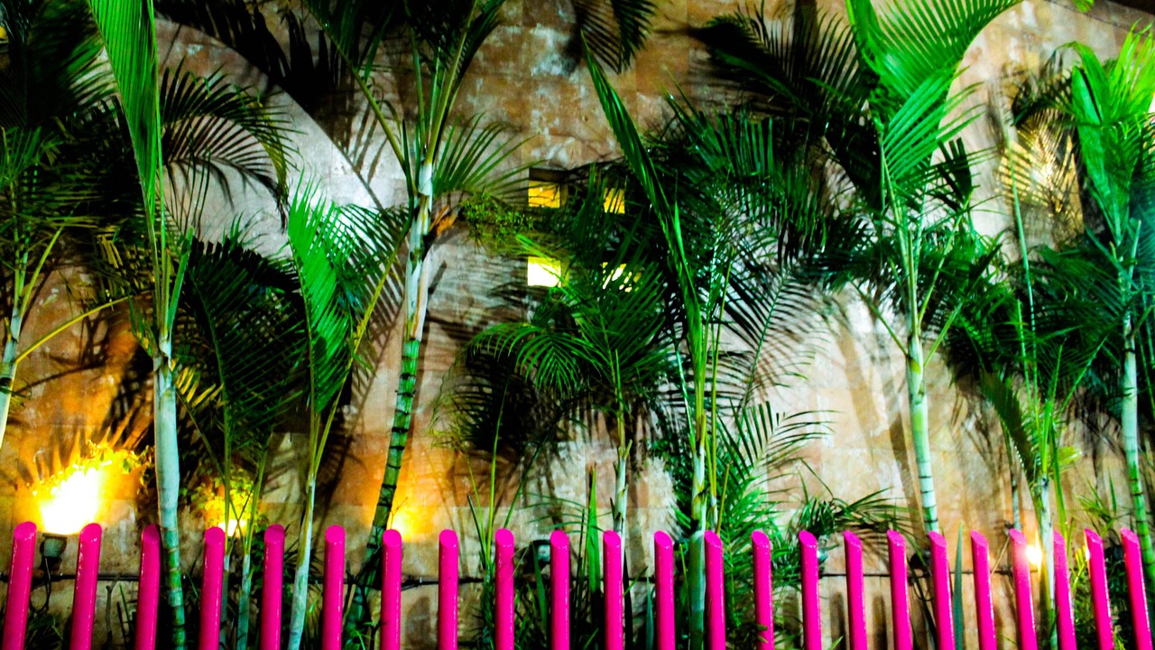 Photo of Outdoor in Villa Coapa