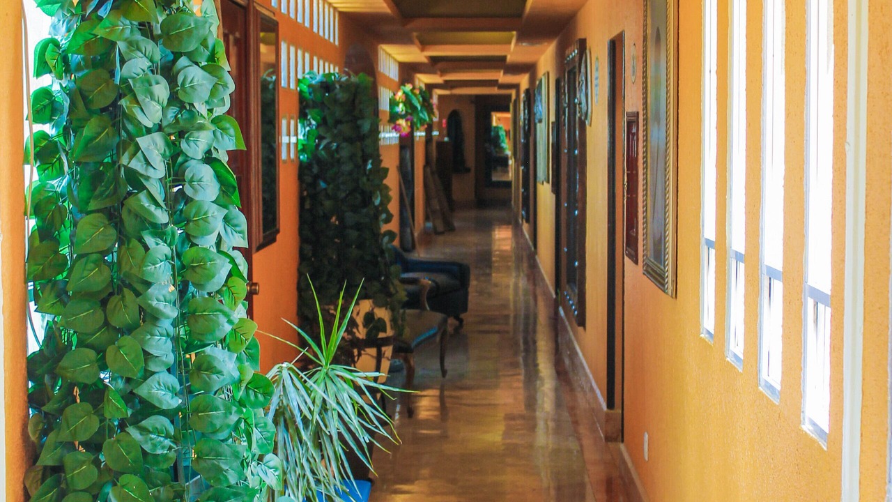 Photo of Others in Villa Coapa