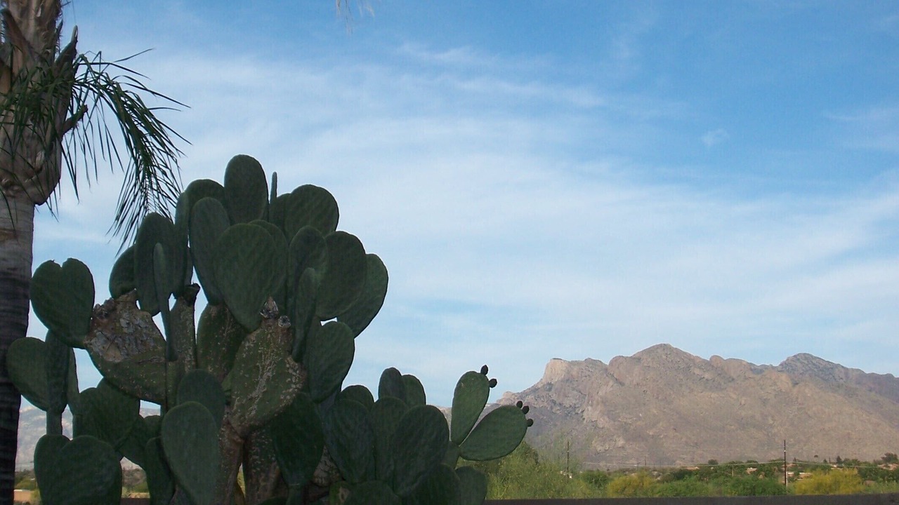 Photo of Others in Casas Adobes