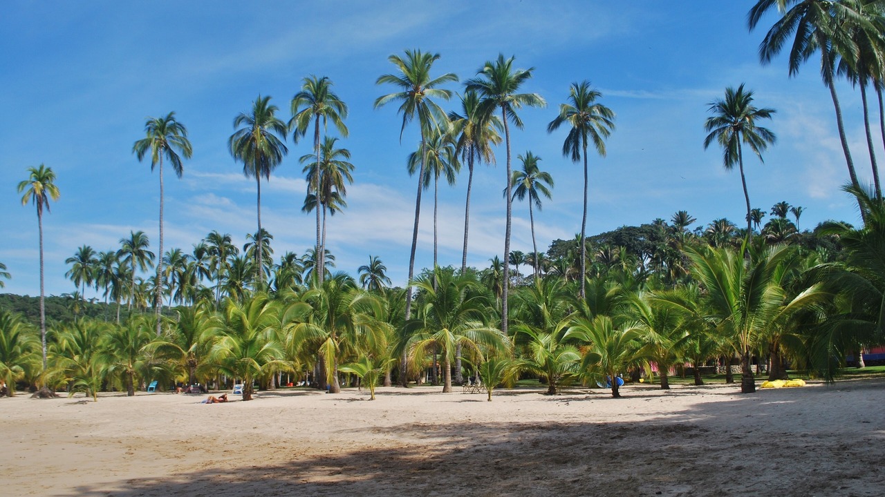 Photo of Others in Chacala