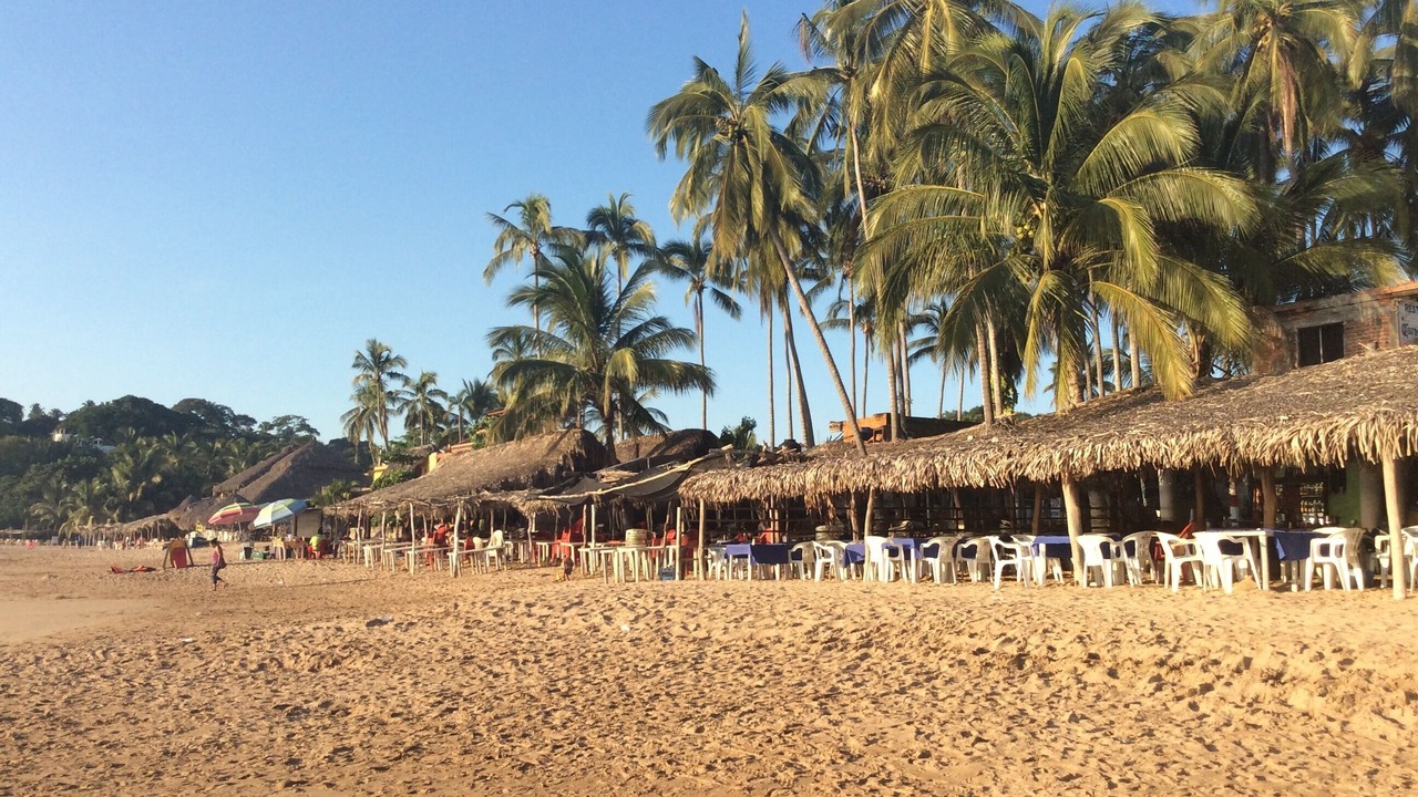 Photo of Others in Chacala