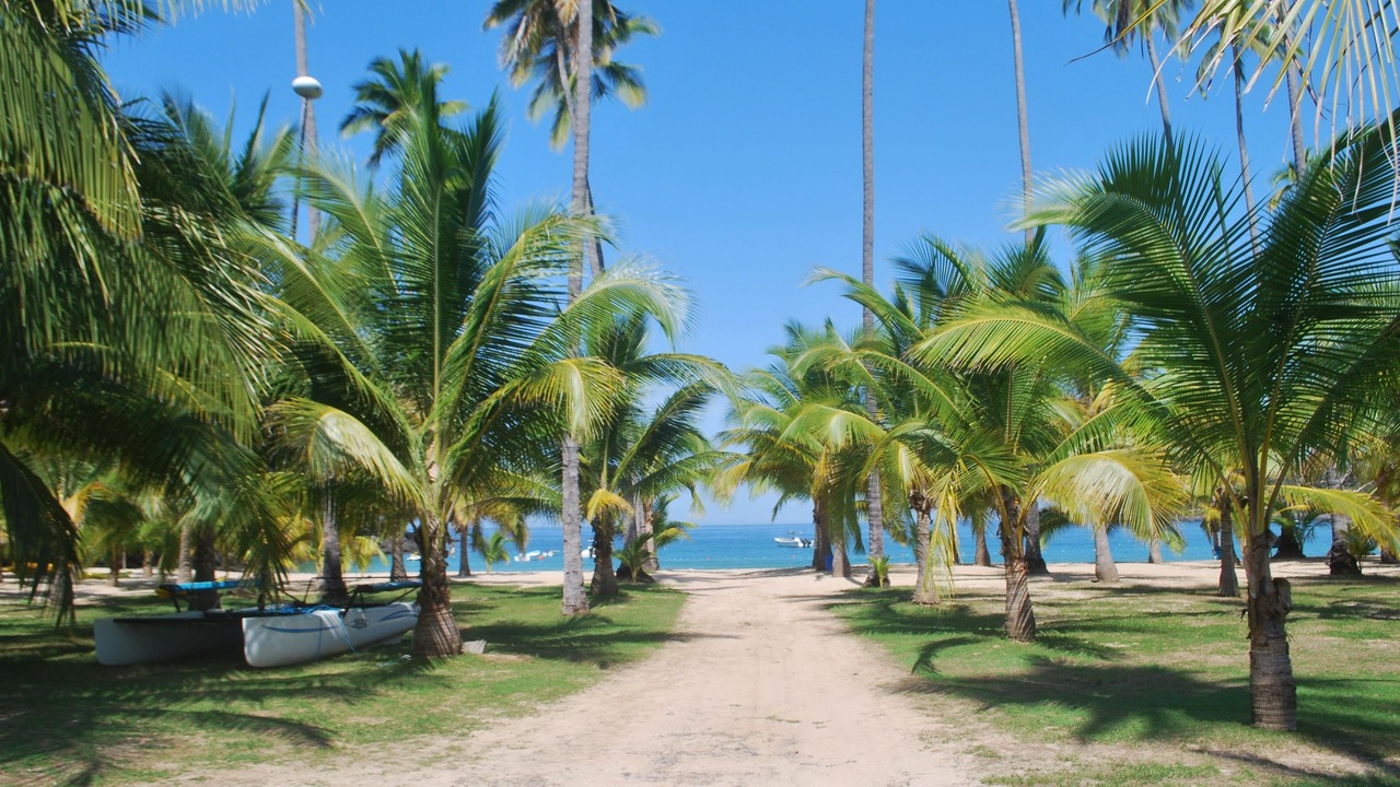 Photo of Others in Chacala