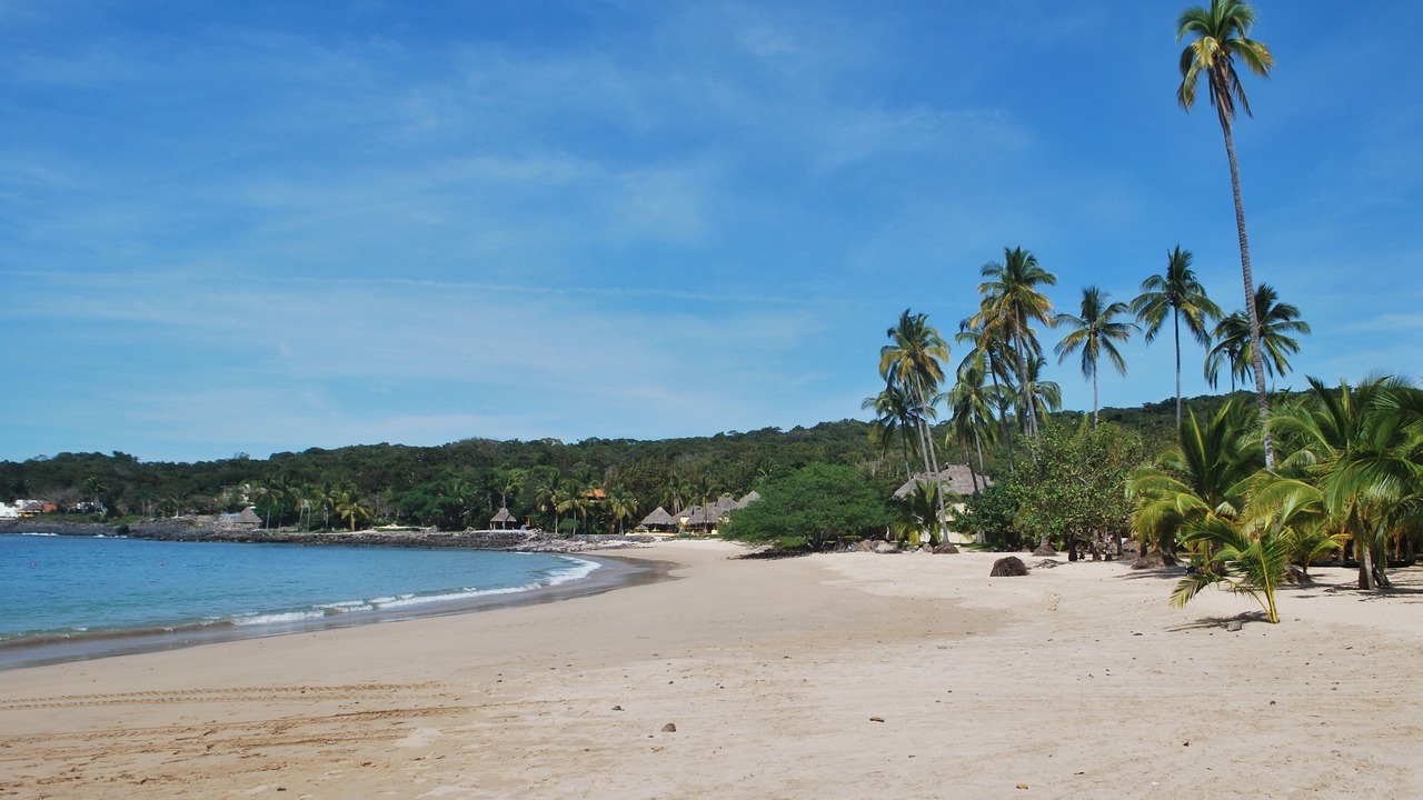 Photo of Others in Chacala