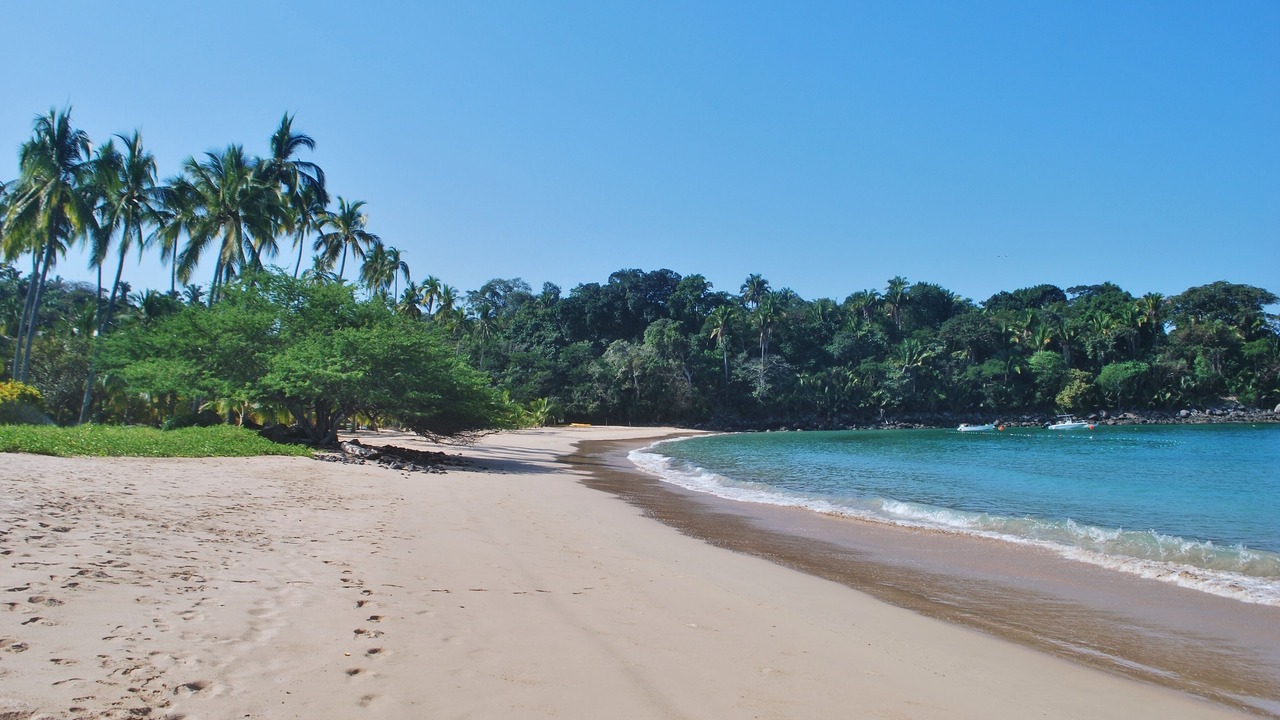 Photo of Others in Chacala