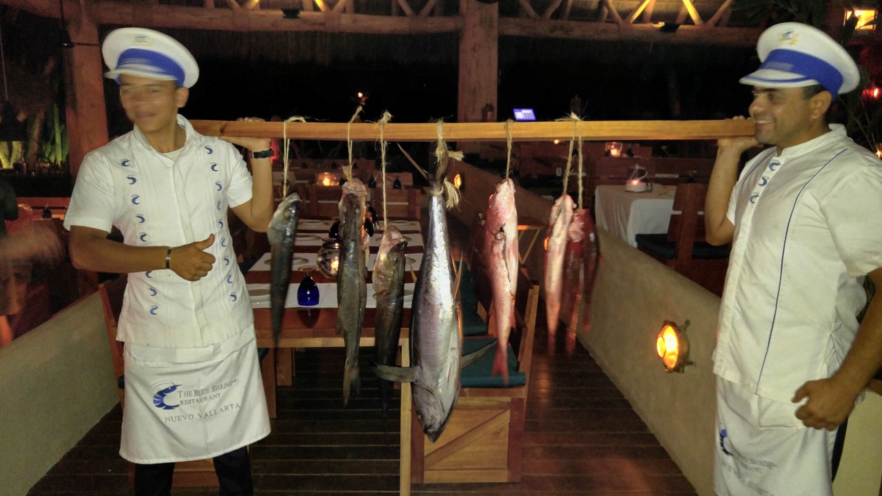 Photo of Others in Nuevo Vallarta