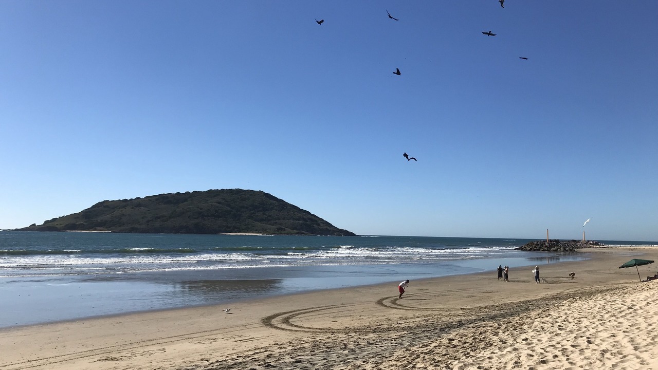 Photo of Others in Mazatlan