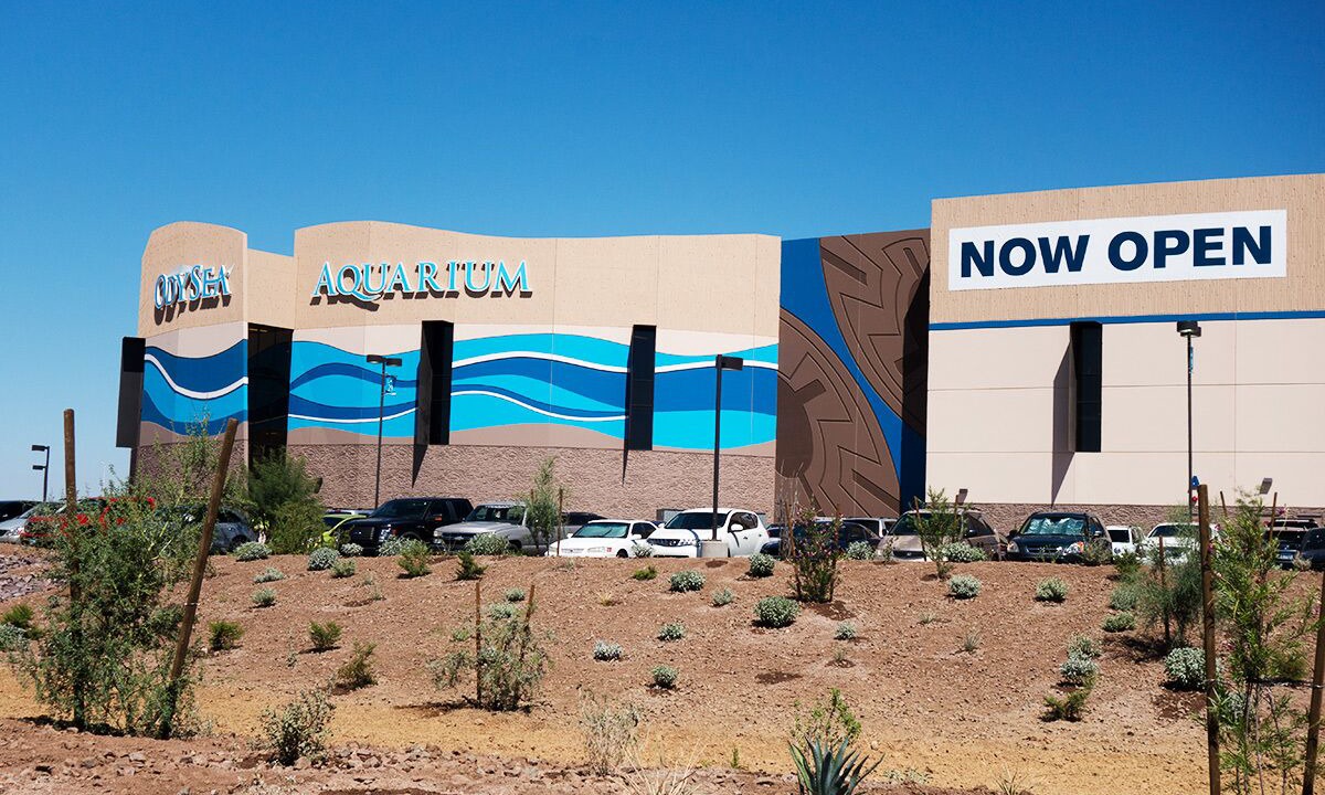 Photo of Others in North Scottsdale