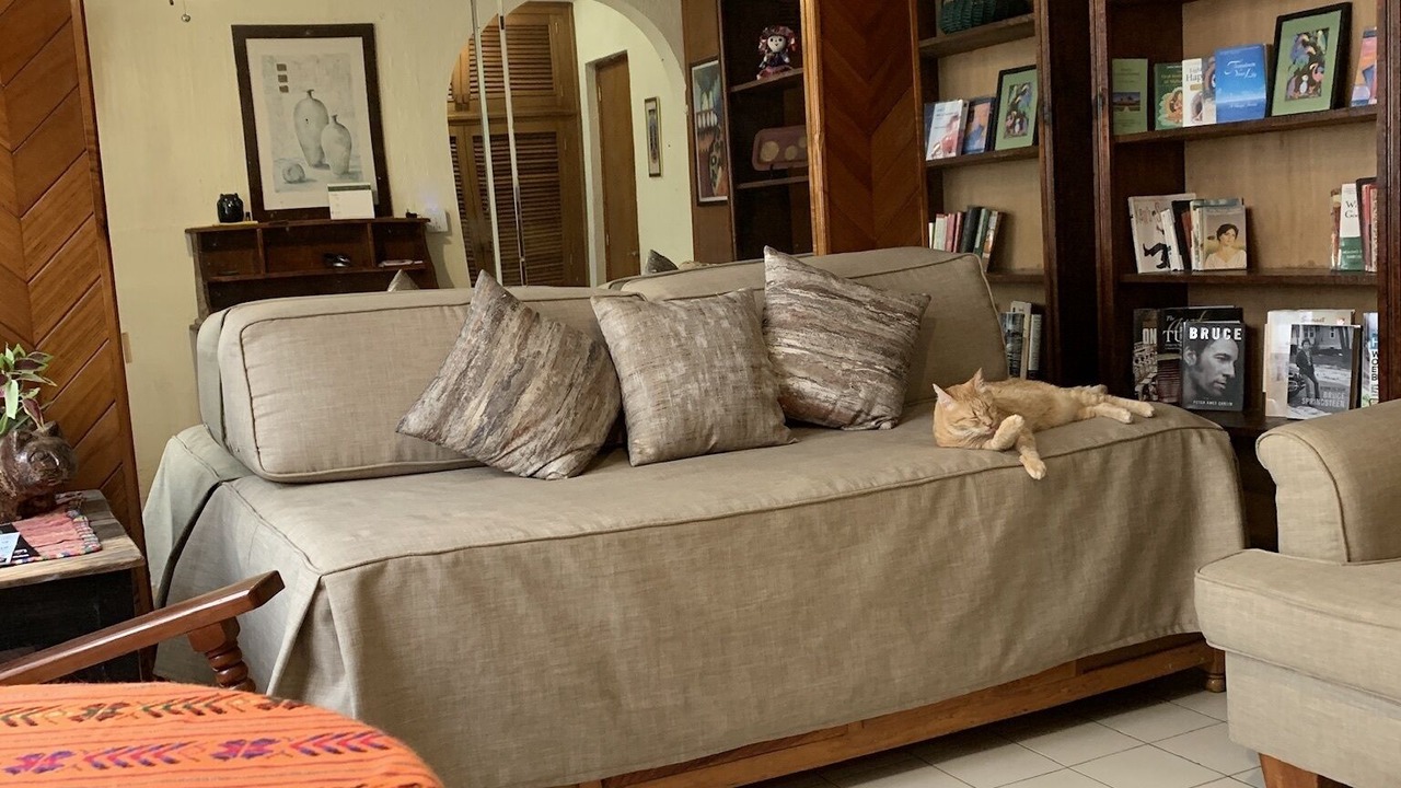 Photo of Livingroom in Las Gaviotas
