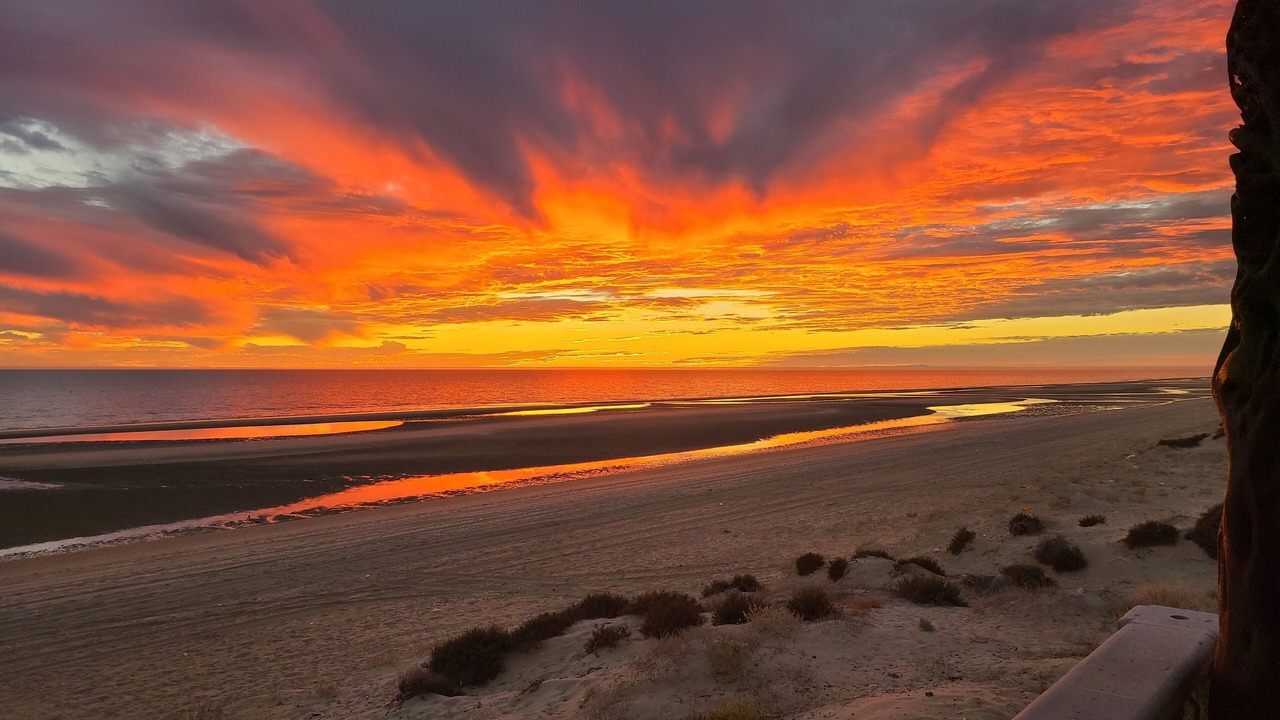 Photo of Others in Puerto Penasco