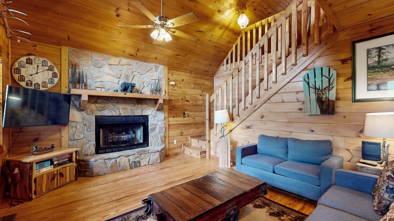 Photo of Livingroom in Mineral Bluff