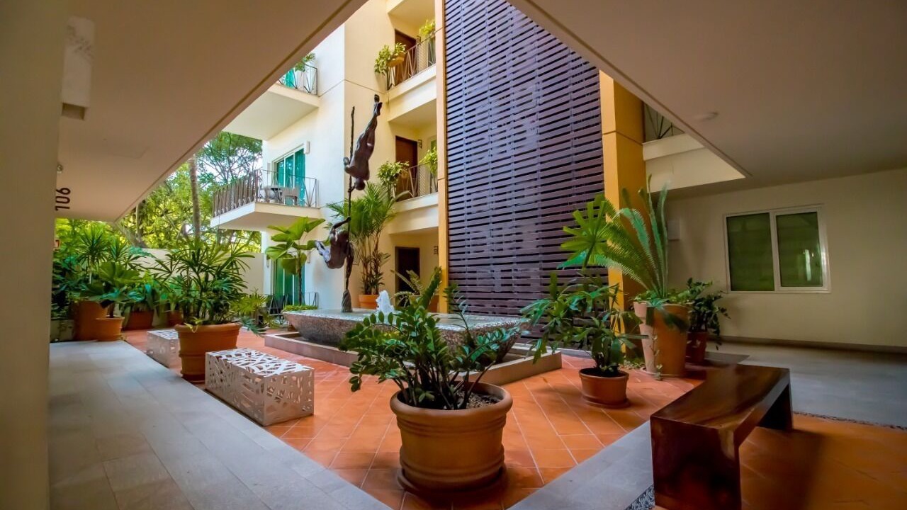 Photo of Outdoor in Amapas
