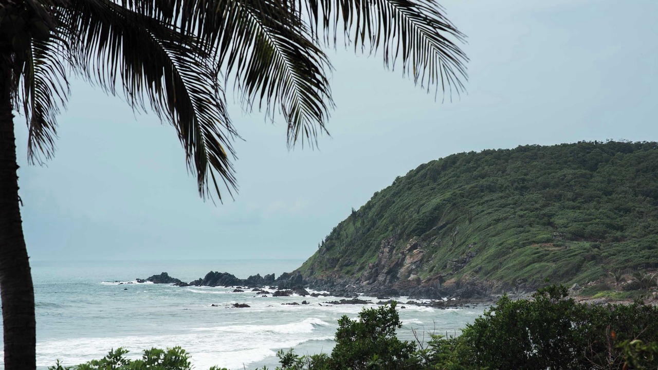 Photo of Others in Troncones