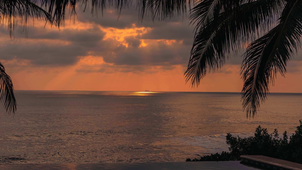 Photo of Others in Troncones