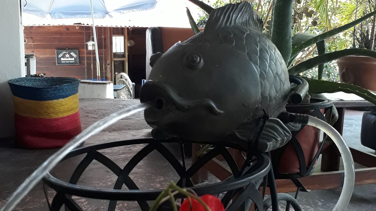 Photo of Outdoor in Xalapa