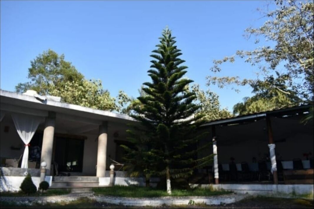 Photo of Outdoor in Xalapa