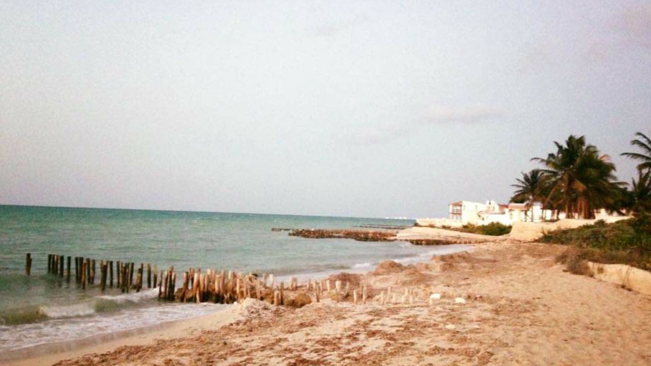 Photo of Others in Chuburna Puerto