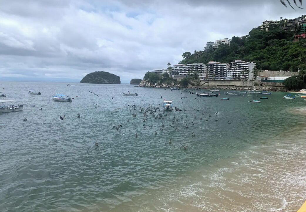 Photo of Others in Cabo Corrientes