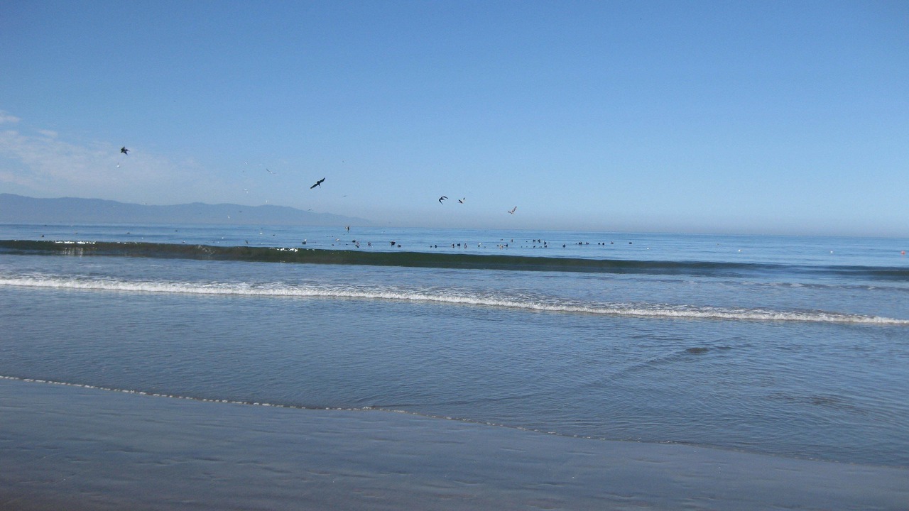 Photo of Others in Nuevo Vallarta