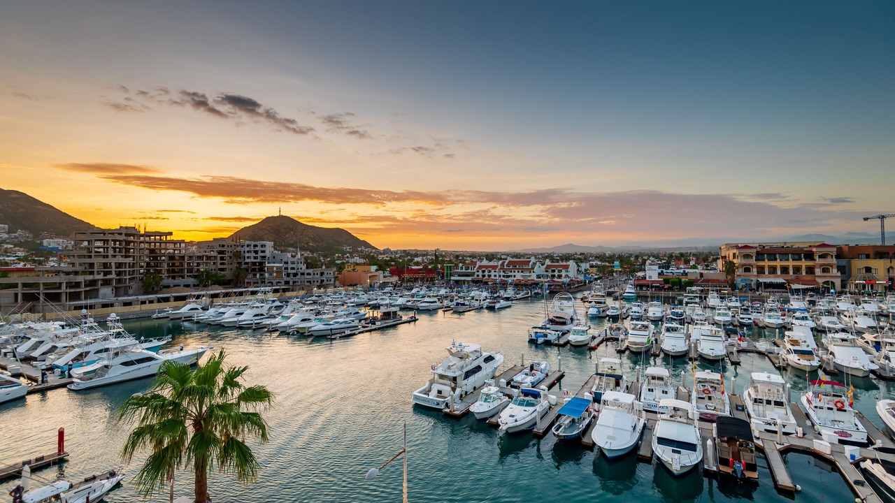Photo of Others in Marina