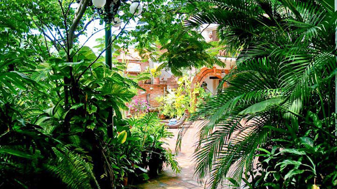 Photo of Outdoor in Downtown Puerto Vallarta