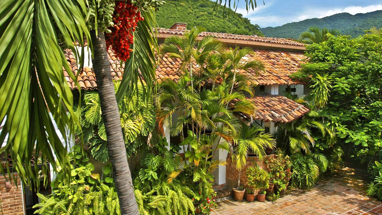 Photo of Outdoor in Downtown Puerto Vallarta