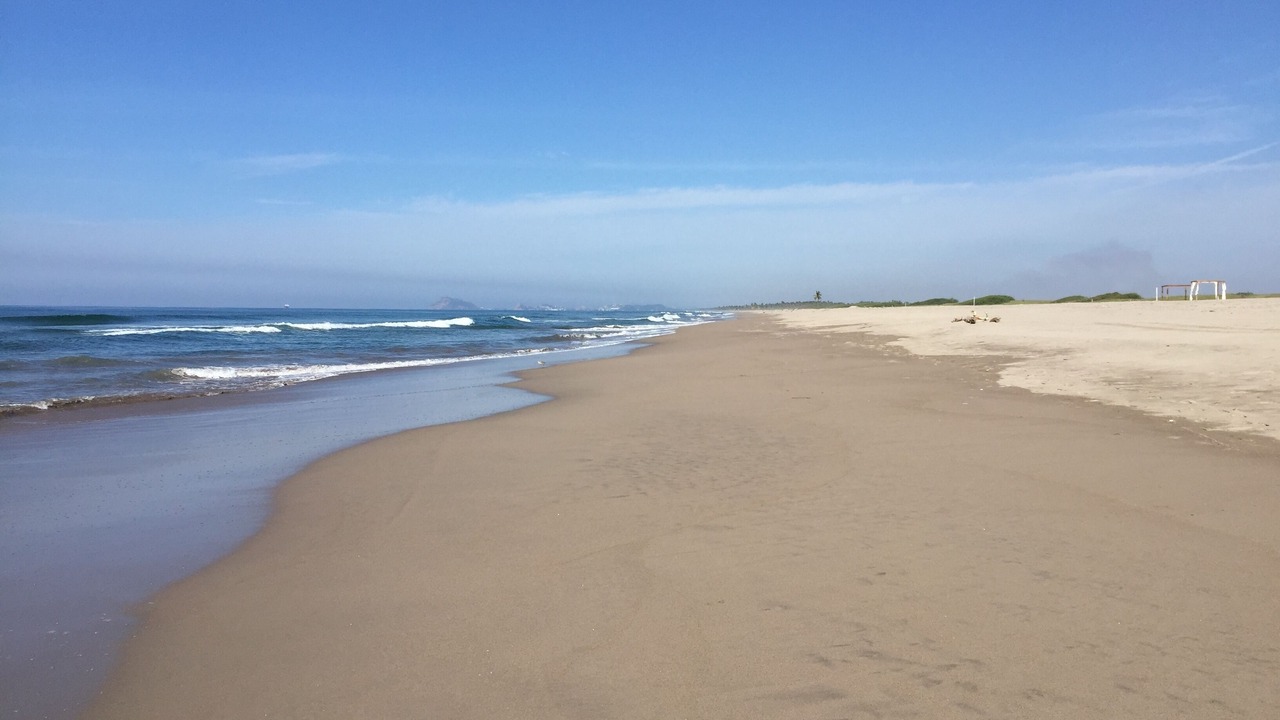 Photo of Others in Mazatlan