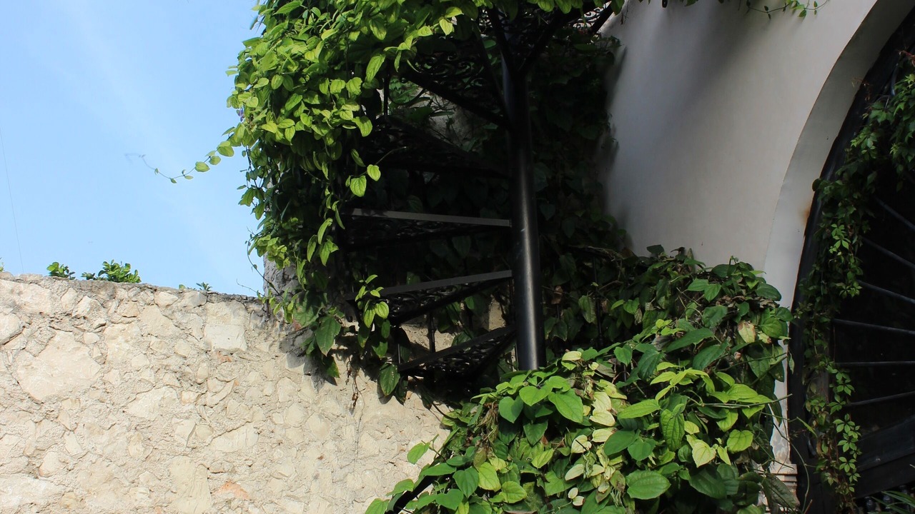 Photo of Outdoor in Centro
