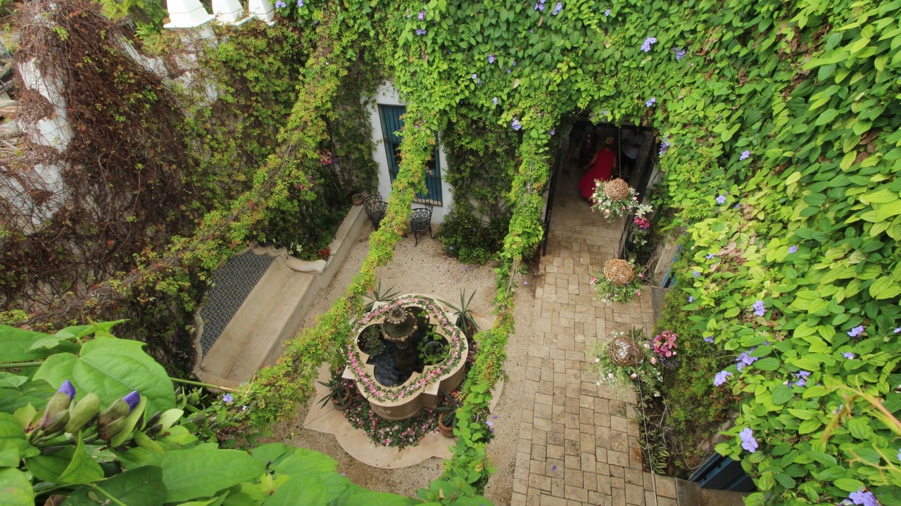 Photo of Outdoor in Centro