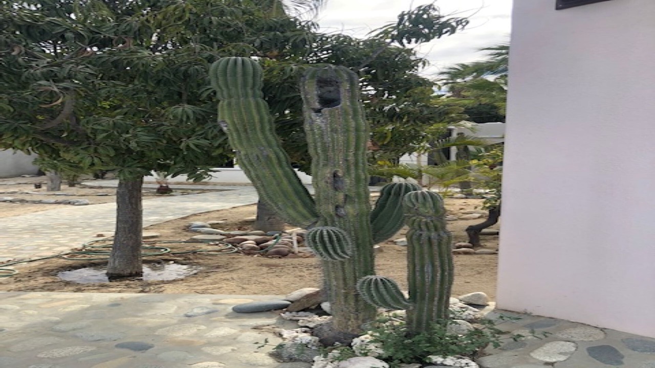 Photo of Outdoor in Buenos Aires