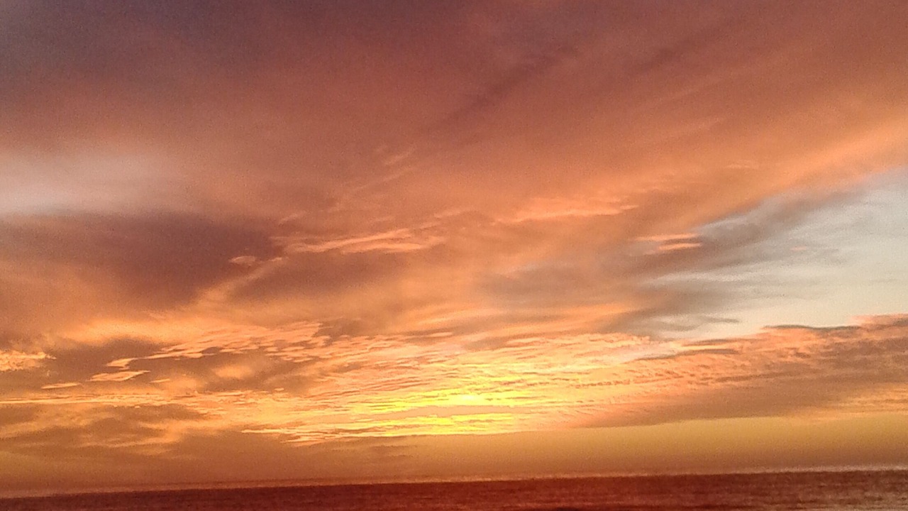 Photo of Others in Puerto Vallarta